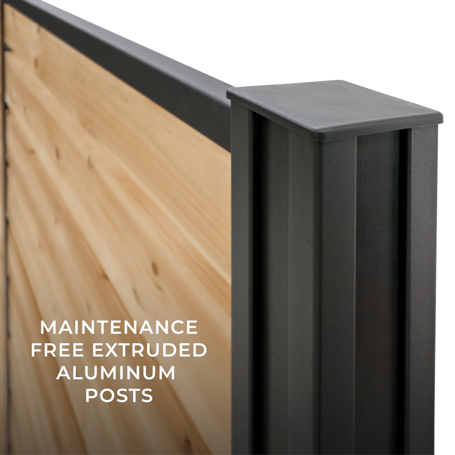Privacy Wall 8x6