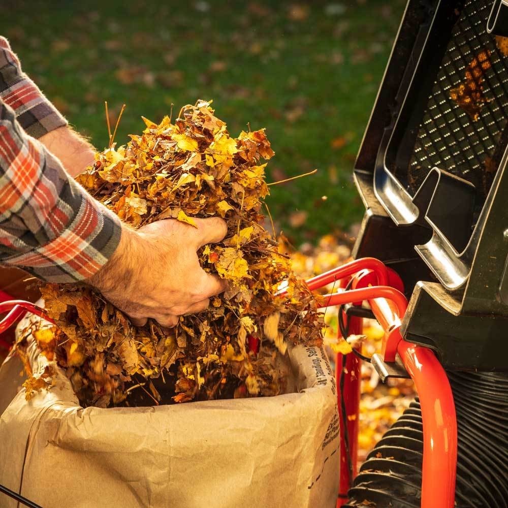 DR Power Equipment Pilot XTSP Leaf and Lawn Vacuum