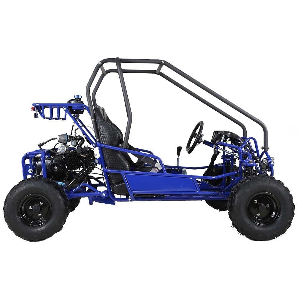 Taotao GK110 Kids Gas Go Kart Dune Buggy