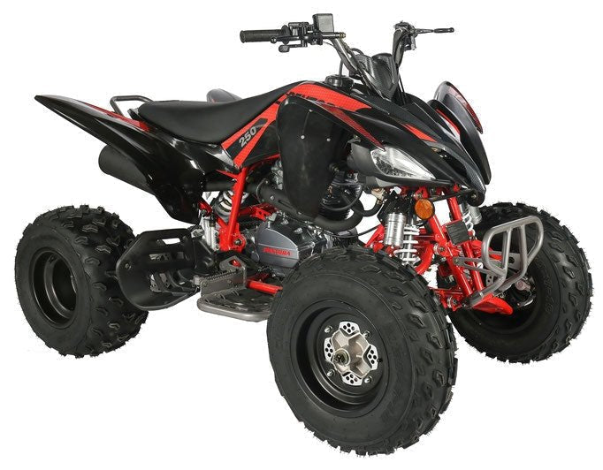 Regency PRO Ultra Sport 250cc ATV