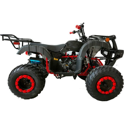 200 ATV Quad 4 Wheelers Utility Full Size Adult ATVs Big Youth ATVs