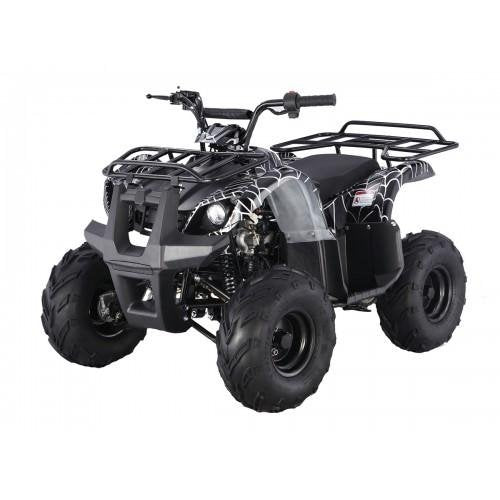 Tao Motor D125 Kids ATVs