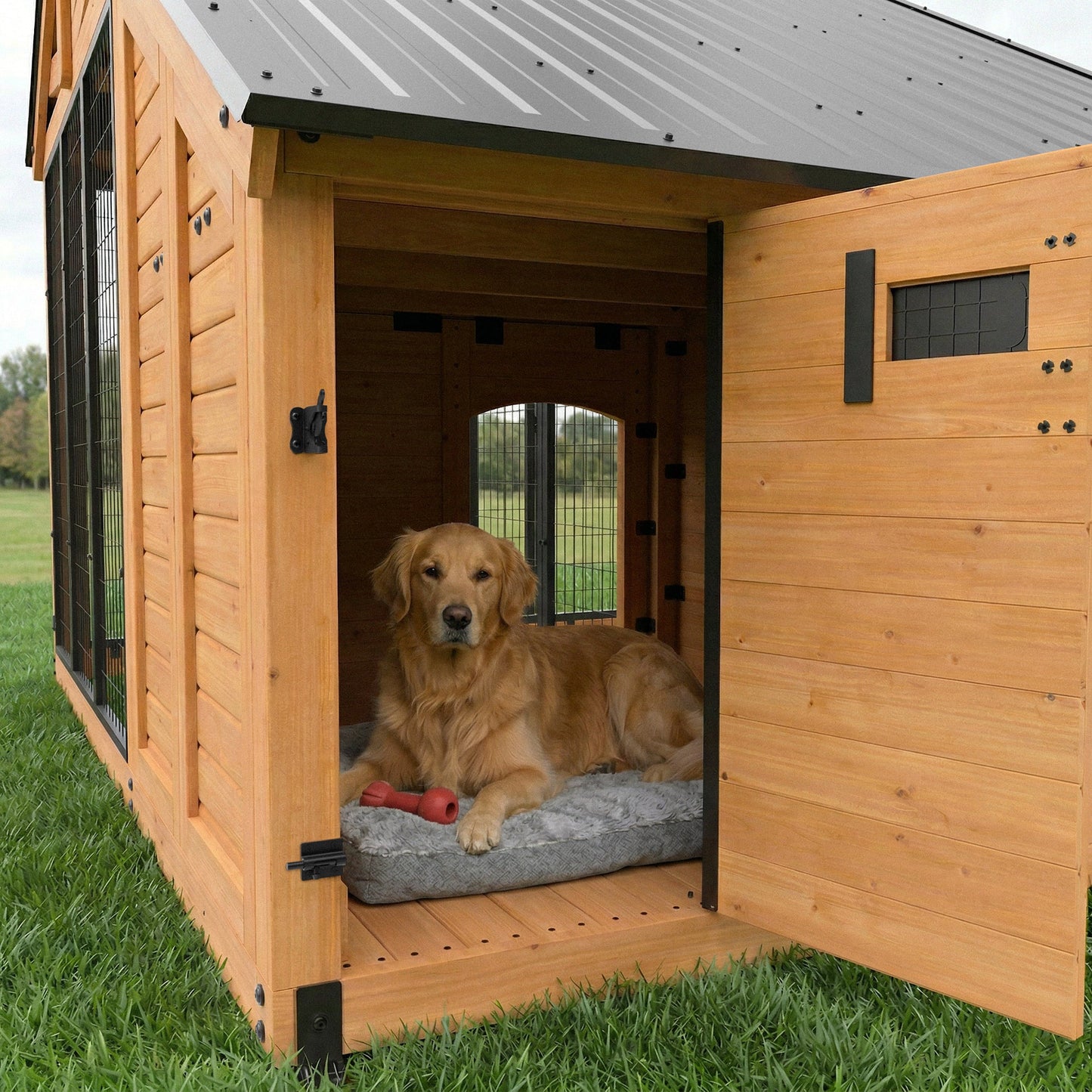 Animal Enclosure XL