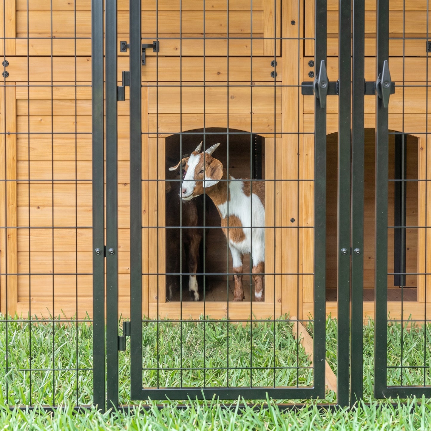 Animal Enclosure XL