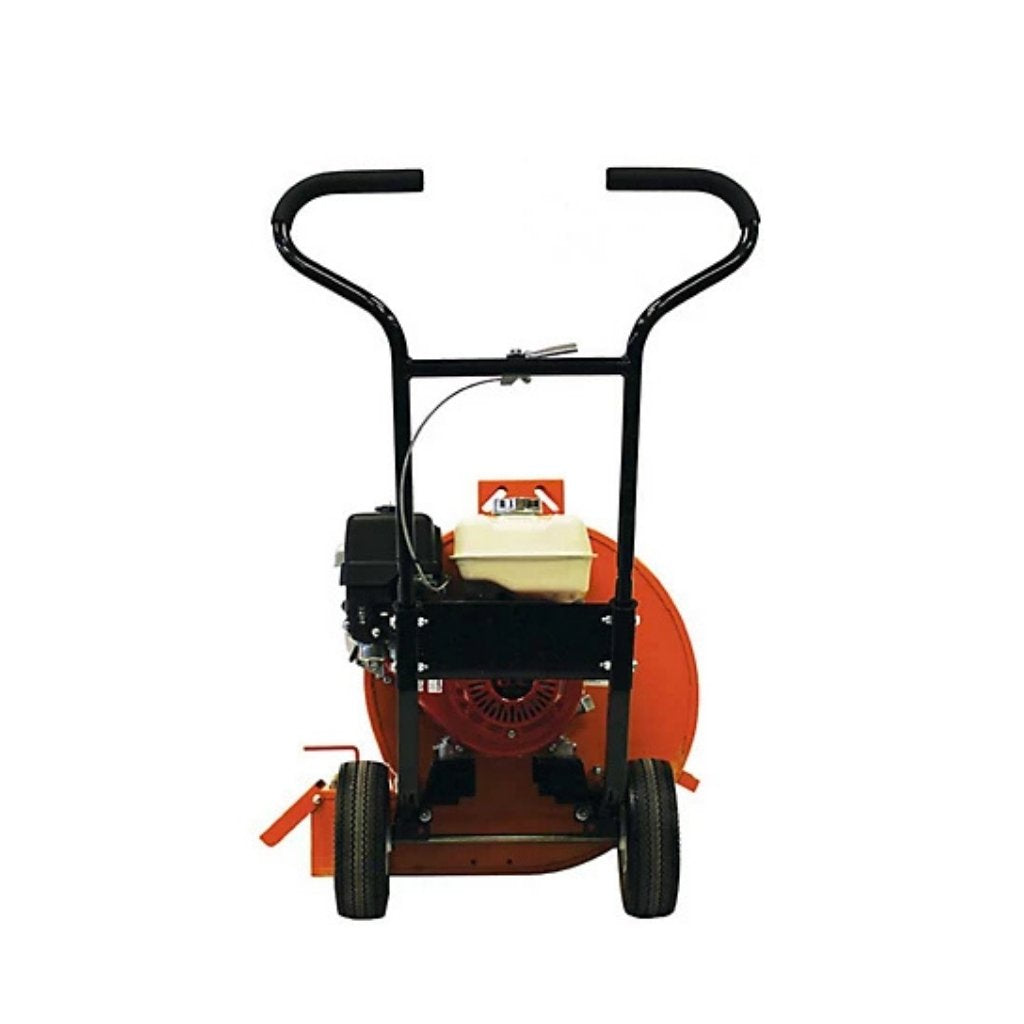 Brave Walk Behind Leaf Blower