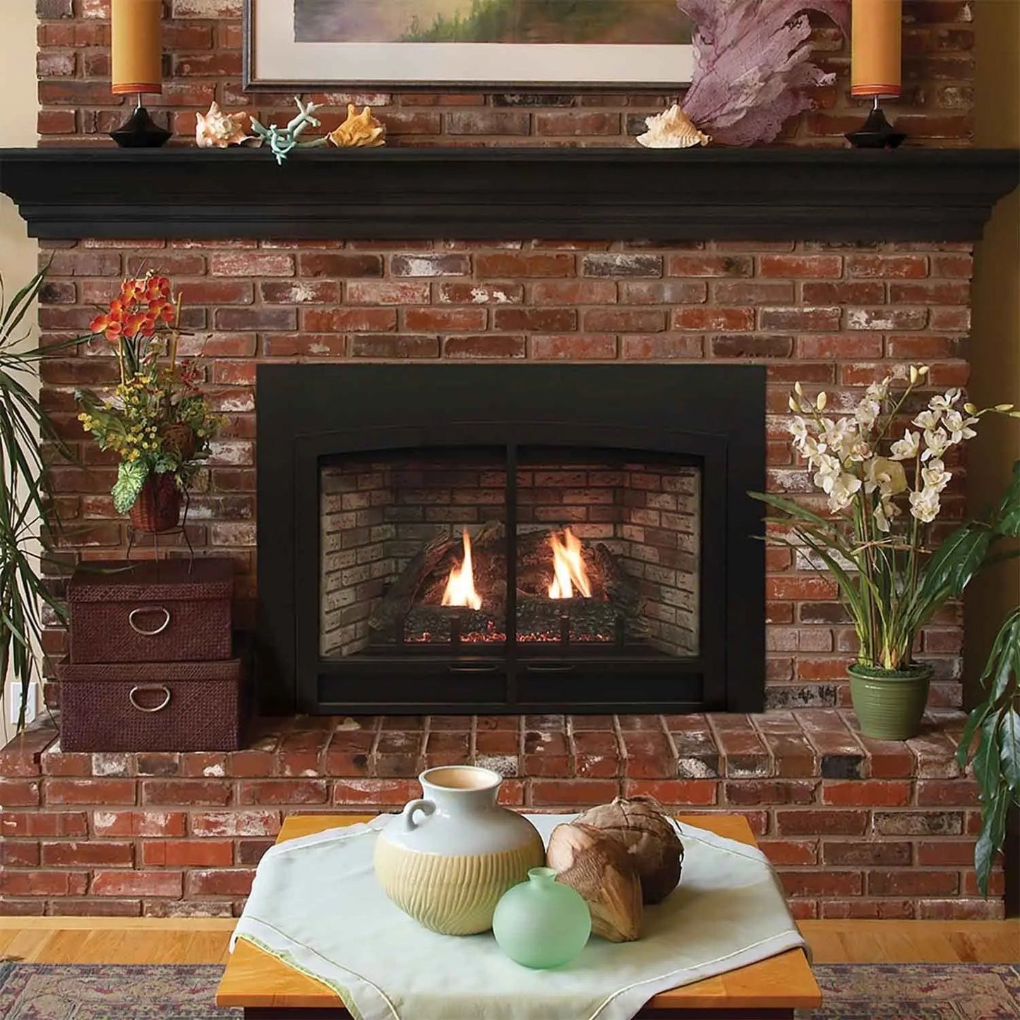 Empire Gas Fireplace Clean-Face 31" Insert With Blower ECI31BF