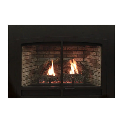Empire Gas Fireplace Clean-Face 28" Direct Vent Insert ECI28DFLGSLB
