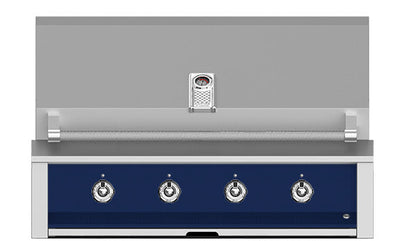 Aspire By Hestan 42" Outdoor Built-In Grill with 4 U-Burner - EAB42