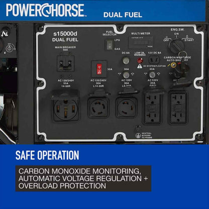 Powerhorse Generator 15000