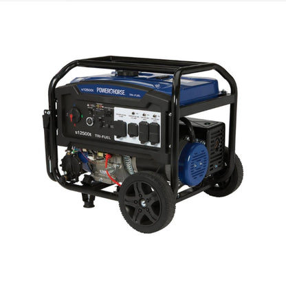 Powerhorse 12500 Generator