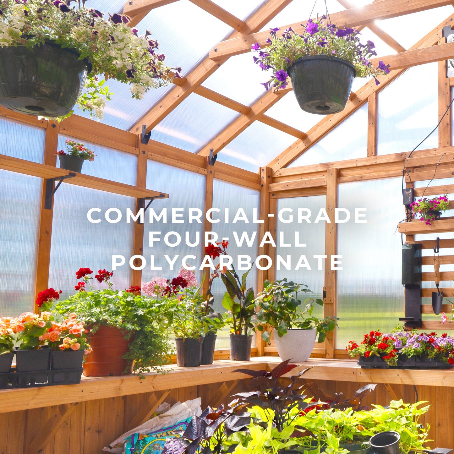 13x11 Bellerose XL Greenhouse