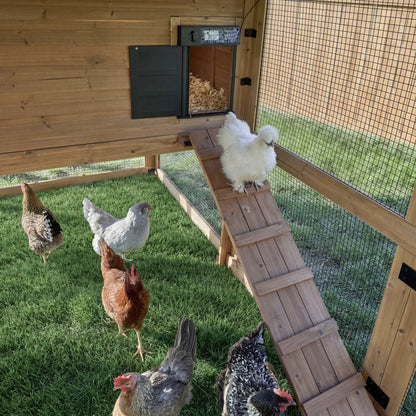 Rustic Roots Chicken Coop