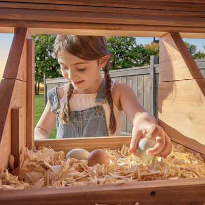 Rustic Roots Chicken Coop