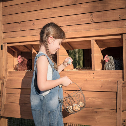 Rustic Roots Chicken Coop