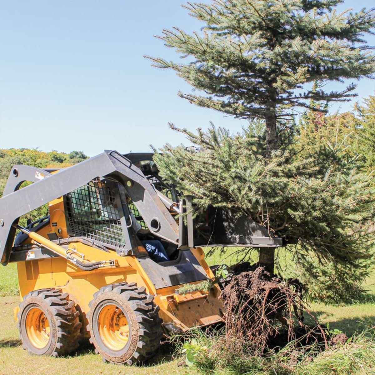 GreyWolf Skid Steer Tree Puller