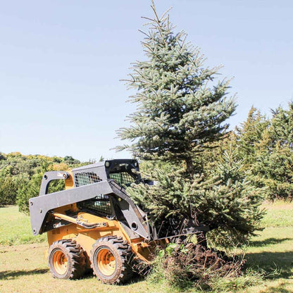 GreyWolf Skid Steer Tree Puller