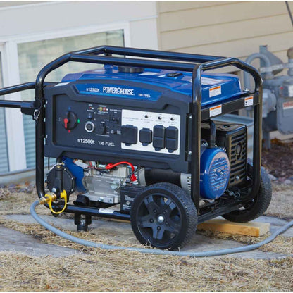 Powerhorse 12500 Generator